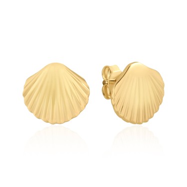 14 Ayar Sarı Altın İstiridye Kabuğu Taşsız Küpe