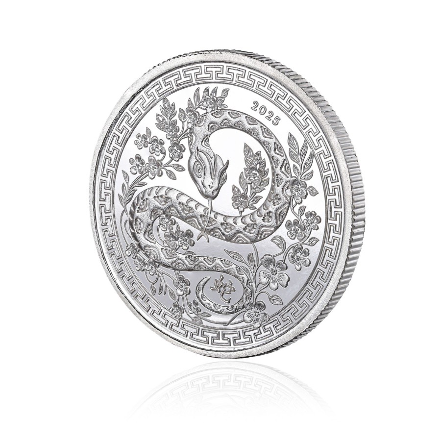 Yılan Figürlü Koleksiyonluk ve Yatırımlık Gümüş Sikke Coin