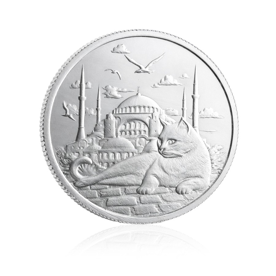 İstanbul Kedisi Koleksiyonluk ve Yatırımlık Gümüş Sikke Coin