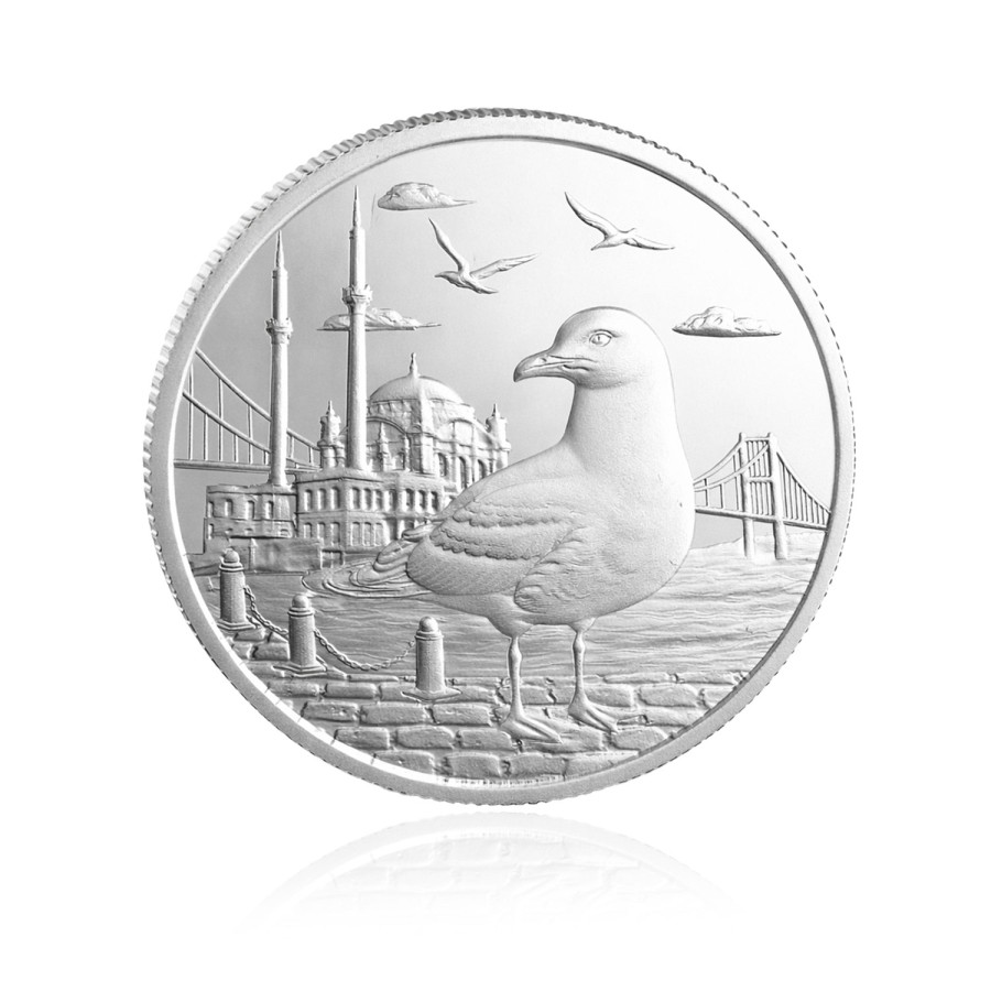 İstanbul Martısı Koleksiyonluk ve Yatırımlık Gümüş Sikke Coin