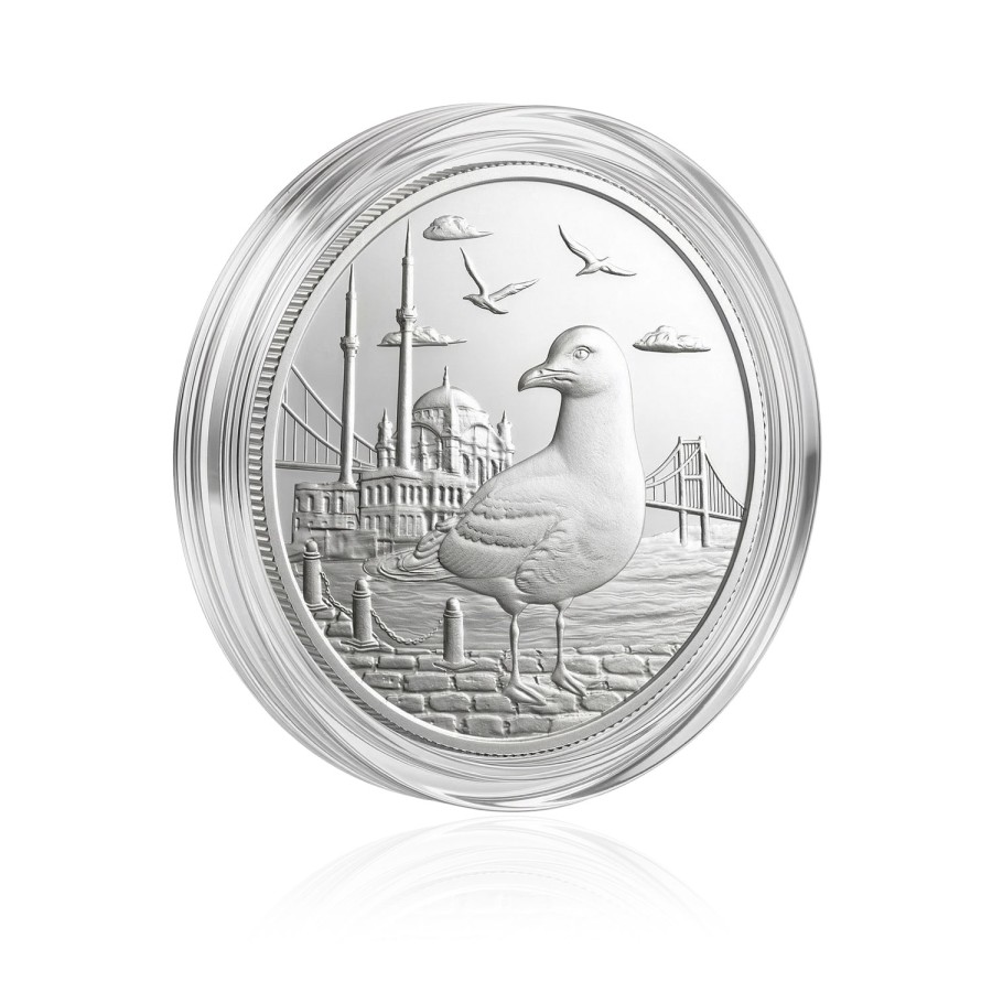 İstanbul Martısı Koleksiyonluk ve Yatırımlık Gümüş Sikke Coin