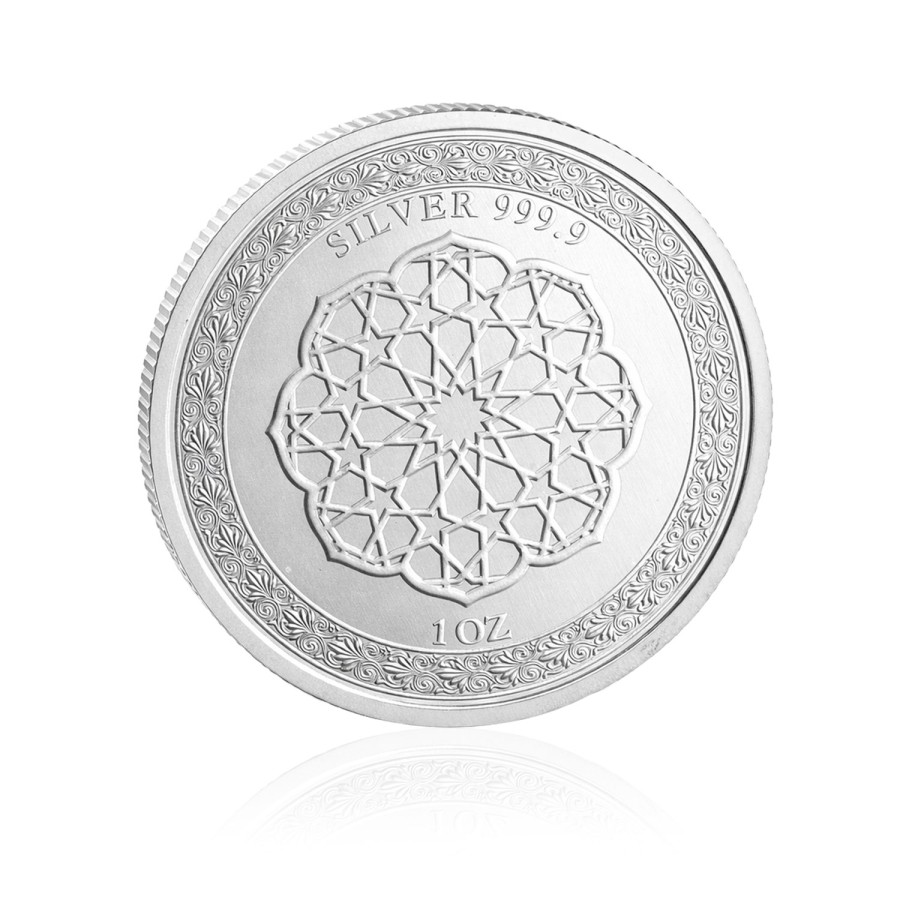 İstanbul Martısı Koleksiyonluk ve Yatırımlık Gümüş Sikke Coin